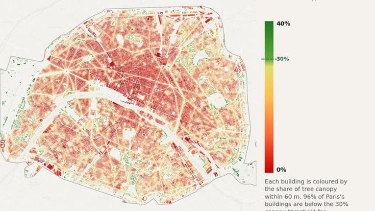 Pochi alberi, tutto sole. Solo una città europea su cinque sfrutta il verde per difendersi dal caldo