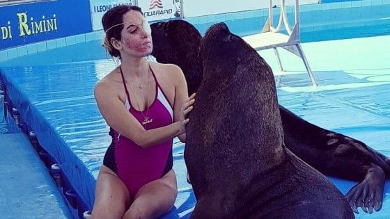 Rimini, chiude il delfinario dove lavora Gessica Notaro: "Ho perso tutto, di nuovo"