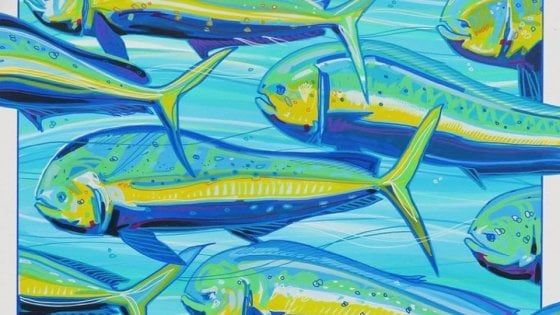 Ischia, la rivincita del pesce povero: saluto all'estate con la festa della lampuga