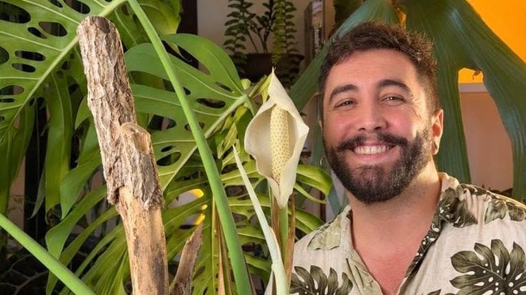 “Le piante da appartamento non esistono ma vi spiego come farle crescere”, parola di Sfobbo