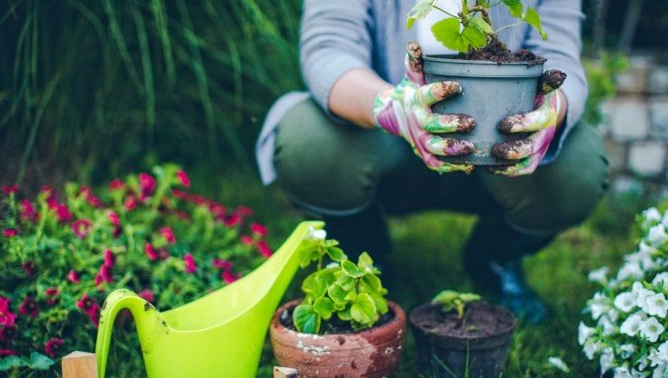 Un laboratorio di giardinaggio per favorire percorsi di integrazione delle persone con disabilità cognitive: al via il crowdfunding