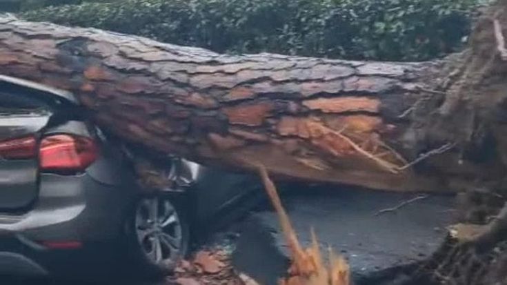 Protezione Civile: “Fiumi in piena e alberi caduti, impossibile calcolare i danni”