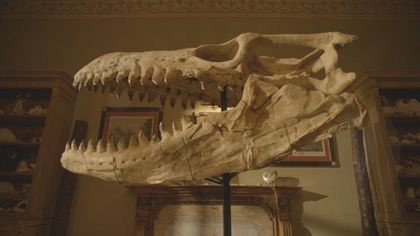 'Dinosaurs', sulle orme dei giganti del passato