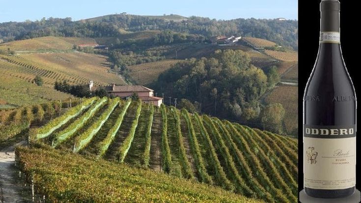 Dalla vigna Mondoca un Barolo sorprendente