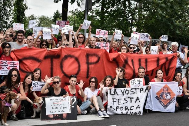 Festival carne di cane in Cina, proteste a Roma e Milano: "Stop alla strage"