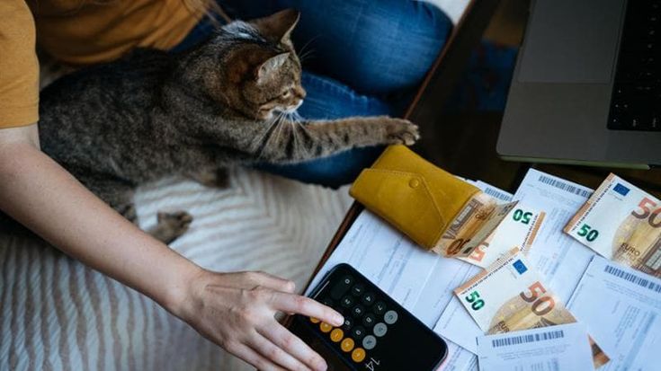 Tredicesima in arrivo per 36 milioni di italiani. Ci guadagna anche il Fisco. La classifica