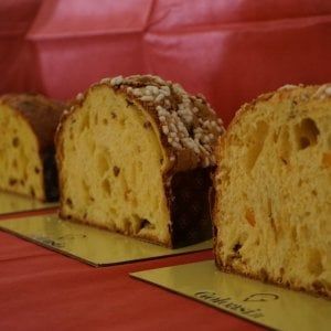 Nasce l’Élite del Panettone Artigianale