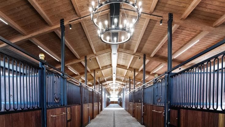 Croceri Farm: talento, passione per i cavalli e spirito imprenditoriale, un gioiello nel cuore delle Marche