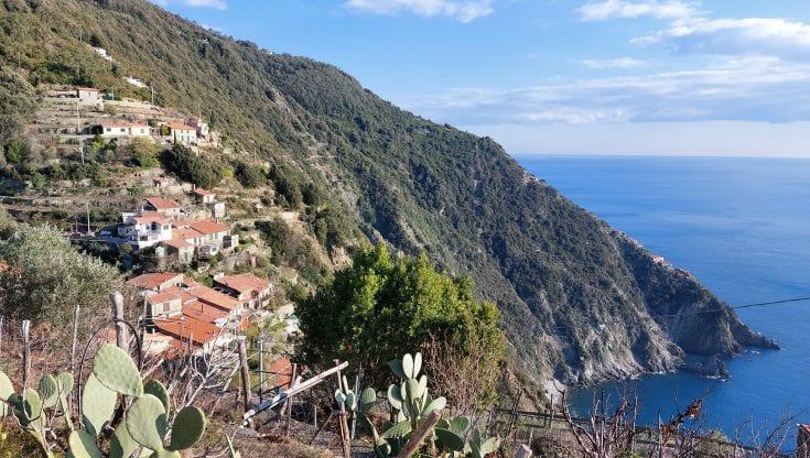 La corsa a ostacoli per i vigneti delle Cinque Terre patrimonio Unesco  