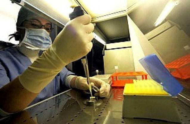 Fecondazione, boom di domande per l'eterologa: 3400 in 22 giorni