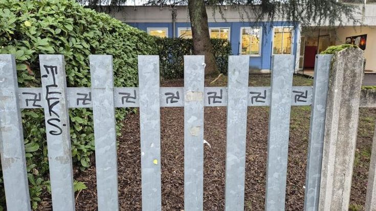 Svastiche a scuola, la denuncia della preside: “Ragazzi fragili attratti da gruppi violenti on line”