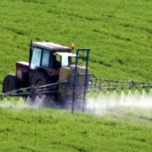 La Camera all’unanimità chiede “un tetto per il cocktail di pesticidi”