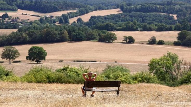 Immagina questo coperto di grano