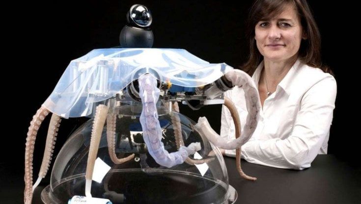 La scienziata Cecilia Laschi: "Che paura l'esame d'Italiano, ma ho imparato che il ragionamento è l'alleato migliore"