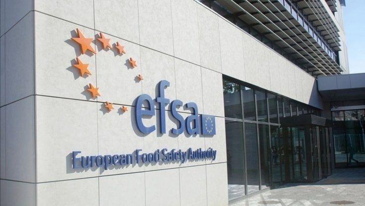 Carlos Gonçalo das Neves nuovo direttore scientifico Efsa