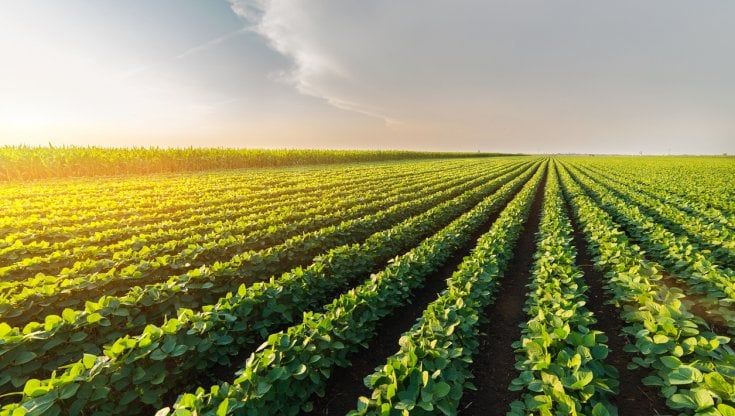 Federbio Servizi e Sanatech, a Parma il primo evento in campo Biodemofarm