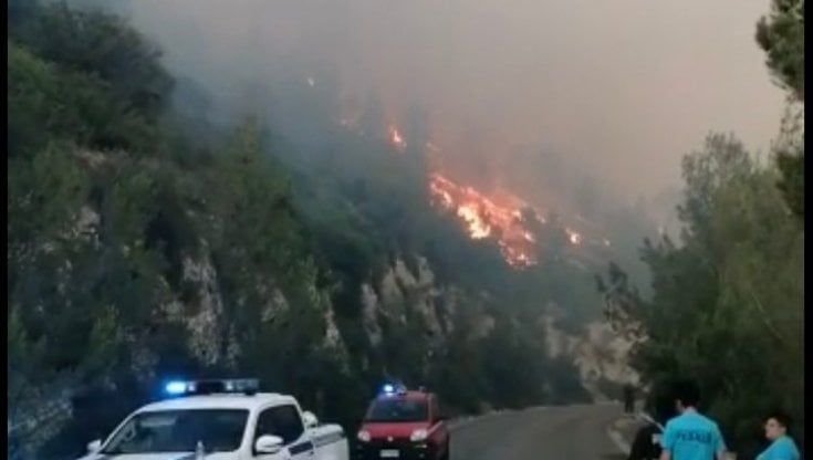 Brucia il Gargano, nella notte sfiorata l'evacuazione di 80 turisti da Baia delle Zagare. Ma il fuoco è stato domato prima