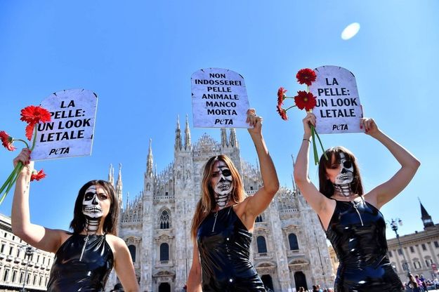 Milano, le modelle animaliste di Peta contro l'uso della pelle: show in Duomo