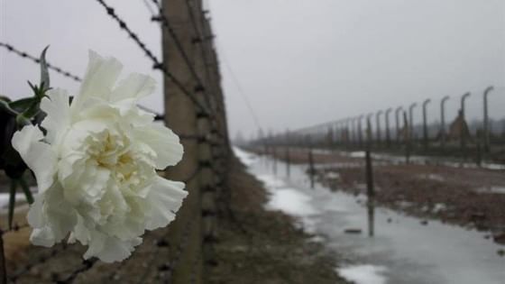 Viaggi della memoria anche per adulti
