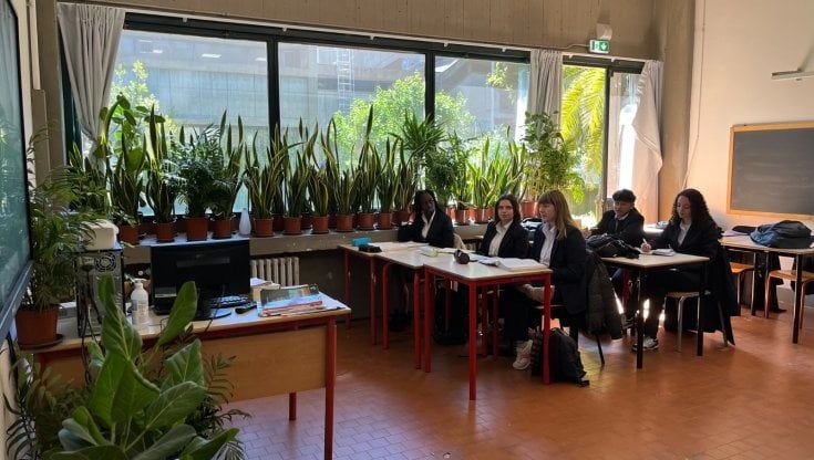 Al Saffi piante in classe per respirare meglio e abbattere lo smog
