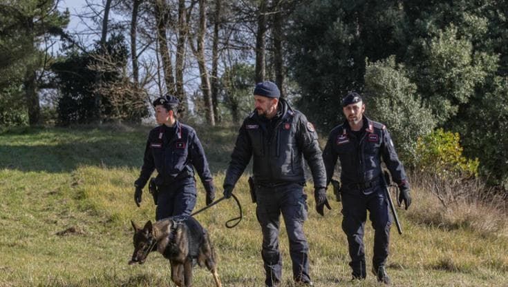 A Fucecchio il bosco delle droghe: maxi operazione dei carabinieri con 7 arresti e sequestri