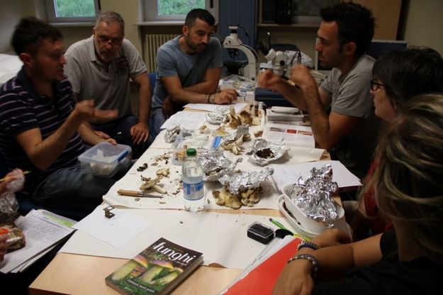 Corso micologi a Borgotaro