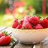 Alla ricerca della fragola perfetta: ecco come ogni varietà ha il suo sapore