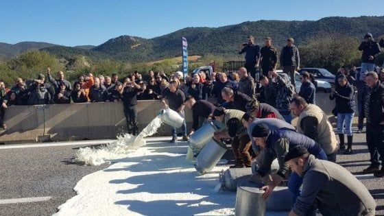 Protesta del latte: assalto a cisterna nel Nuorese e nel giorno delle Regionali molti pastori disertano i seggi 