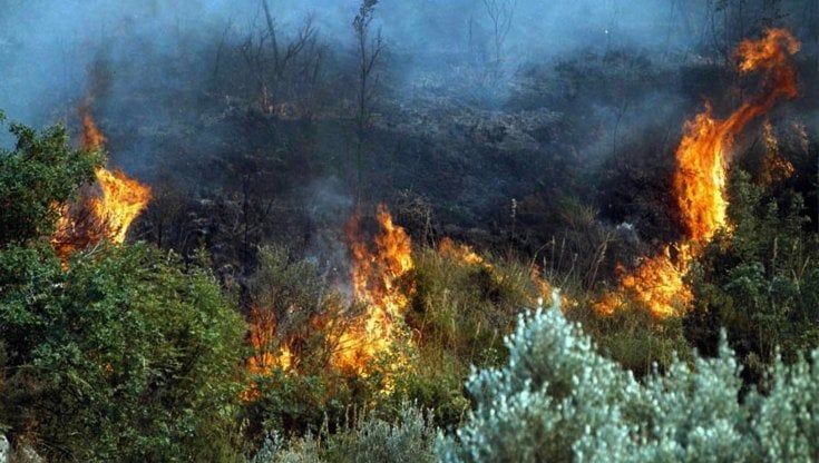 La beffa dei mezzi antincendio in Sicilia, saranno pronti solo in autunno
