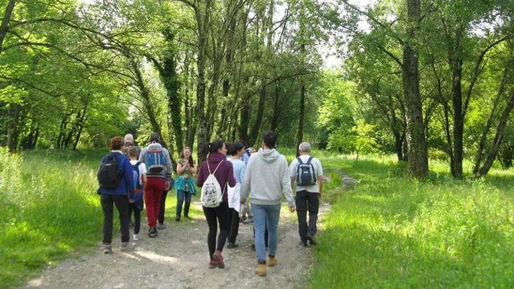 Riduzione dello stress, miglioramento del sistema immunitario: arriva la terapia delle foreste