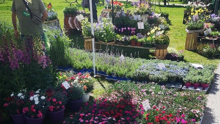 Flora, decora e ristora: all’Arco della Pace tre giorni tra piante, enogastronomia e complementi d’arredo