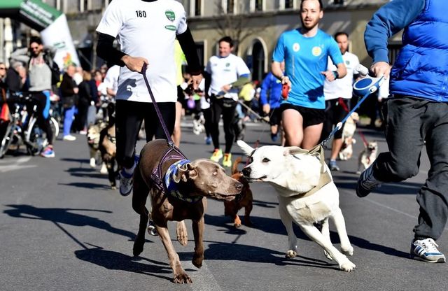 Prato, lo Pasquetta di corsa con il cane al guinzaglio 