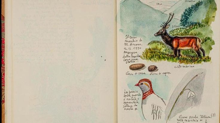 Camera Deputati, Fulco Pratesi illustratore: la lezione della natura a un anno dalla scomparsa