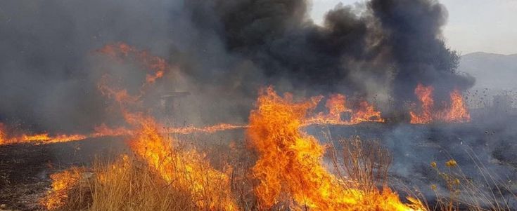 Emergenza roghi, boom di arresti: solo a luglio 12 persone in manette. L'identikit degli incendiari