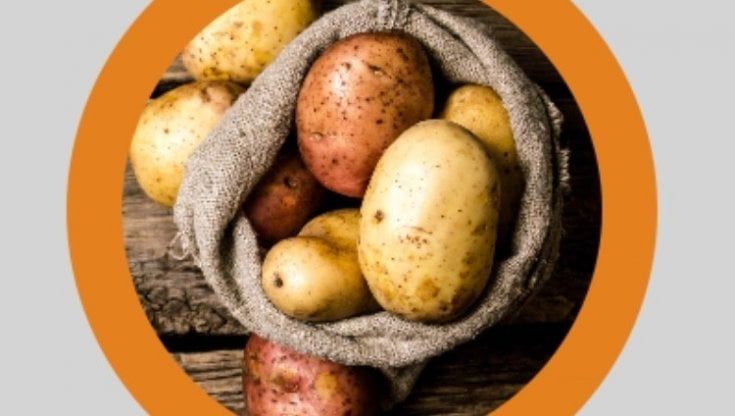 Buone, per tutti i gusti e amiche dell'ambiente: le patate diventano sostenibili