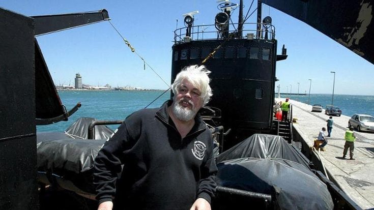 Arrestato Paul Watson, il capitano che sfida il Giappone per difendere le balene