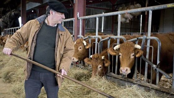 Charroux, agricoltori tutti a terra. E non si fidano più dei politici