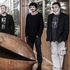 Tornano i Deproducers: il nuovo album è 'Botanica'