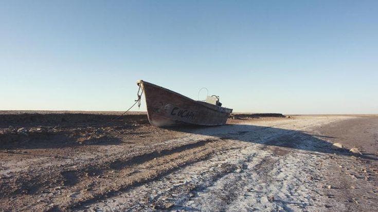 CinemAmbiente riparte dalla Groenlandia: il Pianeta protagonista tra clima, cinema e grandi ospiti