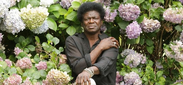 Addio a Charles Bradley, è morto 'l'erede' di James Brown 