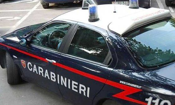 Cadavere in un bosco a Mompantero, forse un'anziana scomparsa a fine giugno