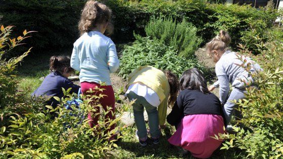 Milano, 134 orti realizzati nelle scuole dell'infanzia per conoscere la natura e il rispetto dell'ambiente
