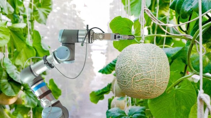 Il potenziale rivoluzionario dell’Intelligenza artificiale: ecco perché non bisogna demonizzarla