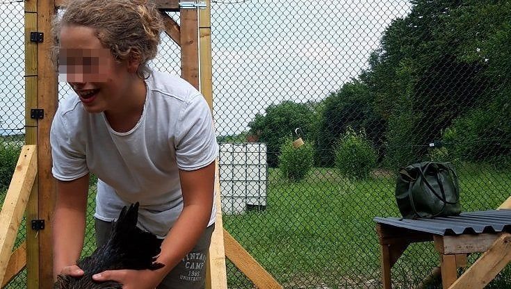 "Per mio figlio Federico quel pollaio era il sogno da bambino": appello di una madre per ritrovare le galline rubate nella Bergamasca