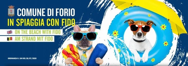 “In spiaggia con Fido”, a Forio arenili dog friendly