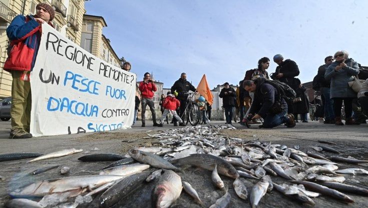Fridays for Future, a Torino pesce marcio davanti alla Regione Piemonte  