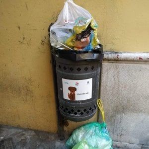 Potenza, cestini per i bisogni dei cani usati come raccoglitori di rifiuti