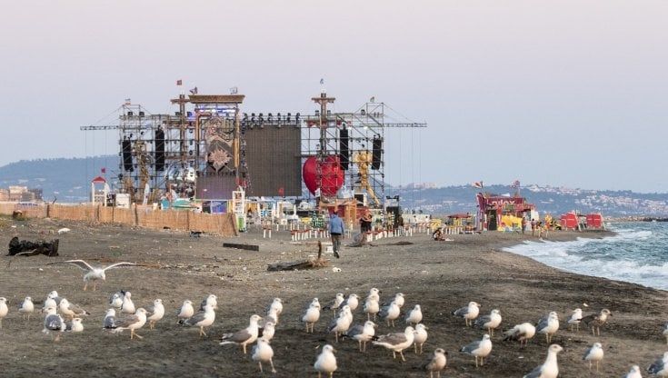 Castel Volturno, le tartarughine e il Jova Beach Party: "Ma la natura non va calpestata"