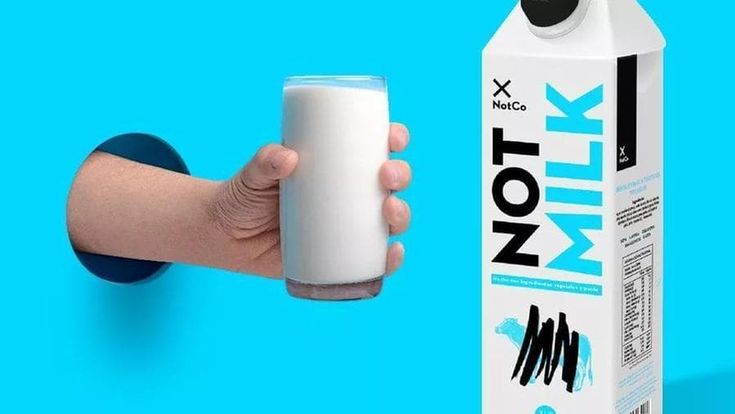 NotCo, la start-up cilena che ricrea il cibo con l’intelligenza artificiale