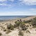 Argentina. Desolata e splendida: Penisola Valdés